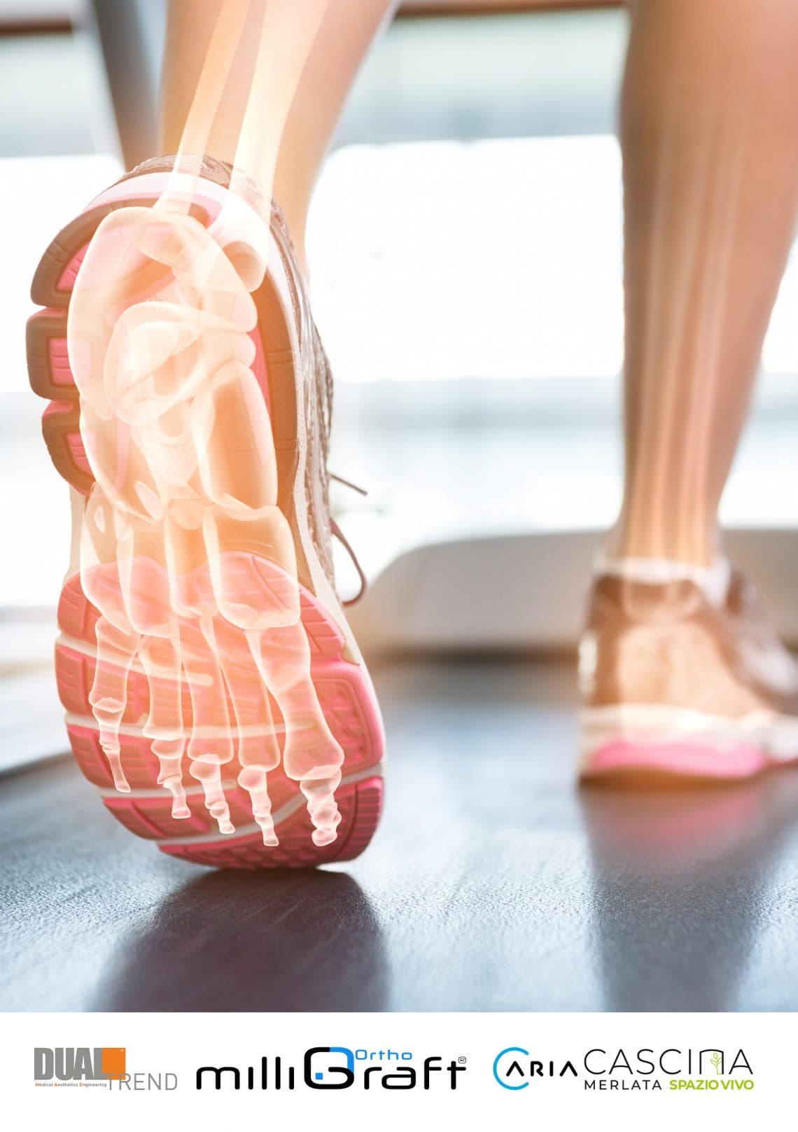 1° Giornata di Tecniche e Metodologie Staminali — Stem Cell Techniques and Methodologies in Orthopaedics and Traumatology
