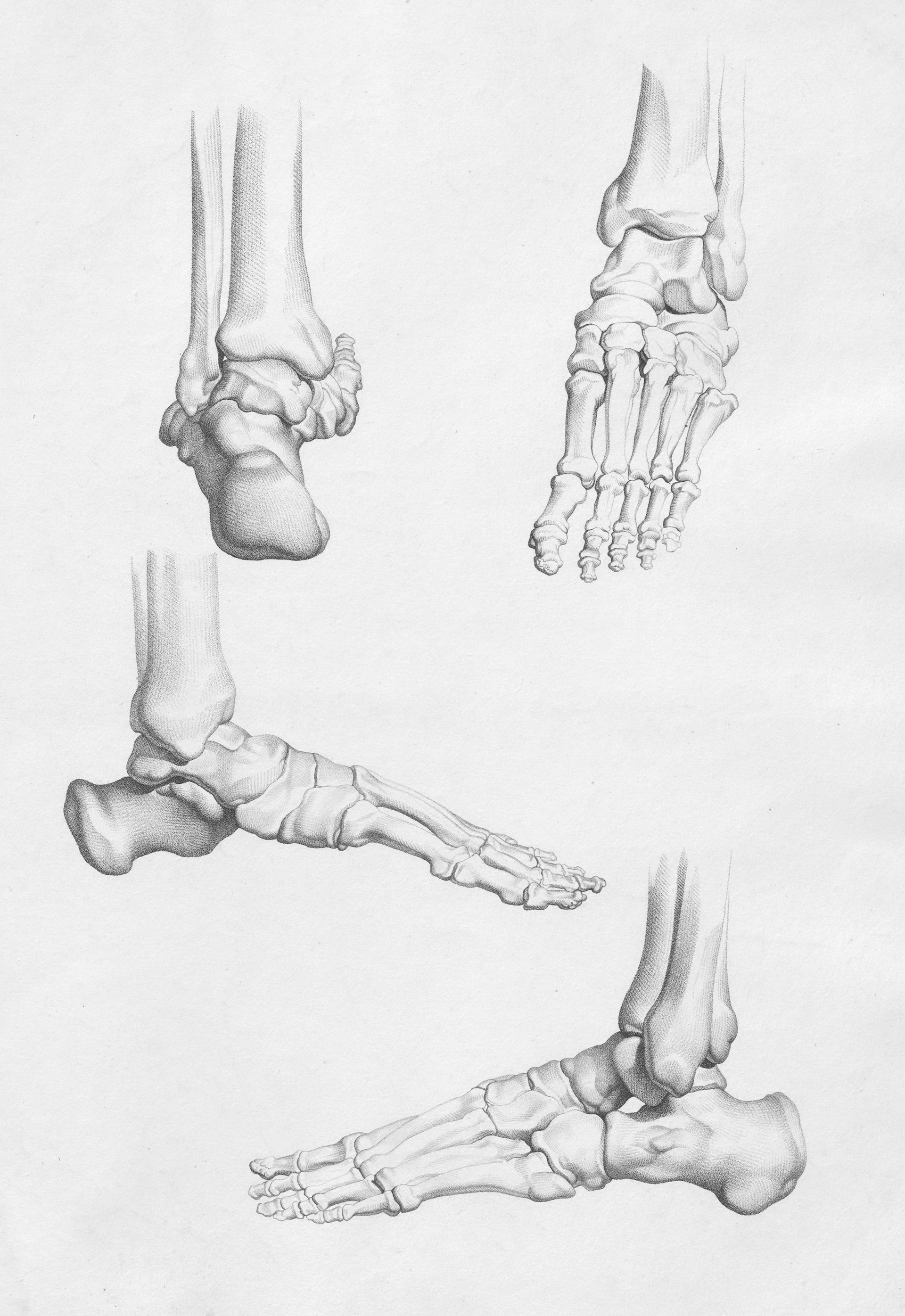 Patologie del piede